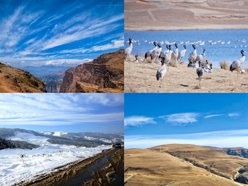 洲豪5_調(diào)整大小.jpg 洲豪5_調(diào)整大小.jpg